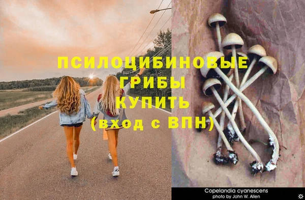 крисы Инта