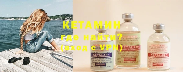 крисы Инта