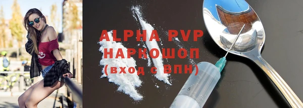 крисы Инта
