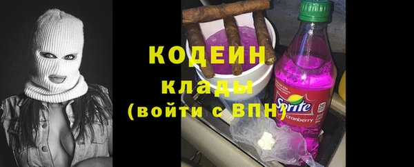 сатива Инсар