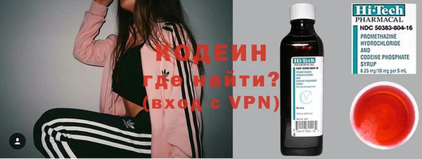 крисы Инта