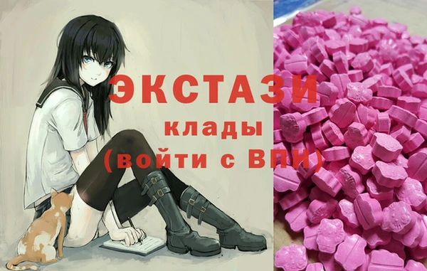 сатива Инсар
