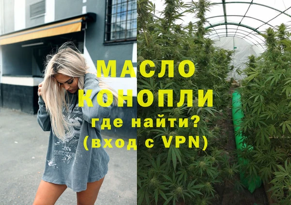 крисы Инта