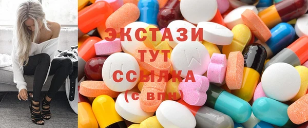 крисы Инта