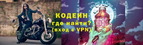 крисы Инта
