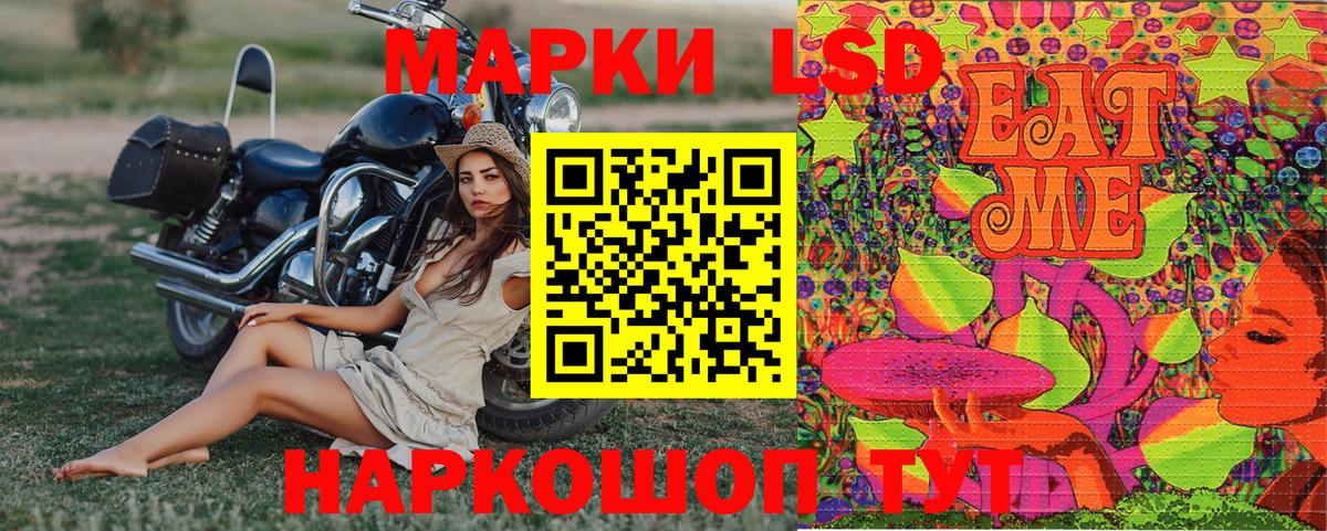 Псилоцибиновые грибы Хабаровск