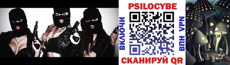 где найти наркотики  ОМГ ОМГ как войти  Псилоцибиновые грибы мухоморы  Хабаровск 