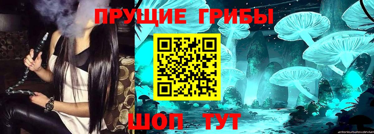 Псилоцибиновые грибы прущие грибы Хабаровск