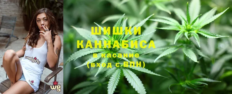 как найти   Хабаровск  Каннабис White Widow 